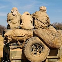 الصوت الأصلي