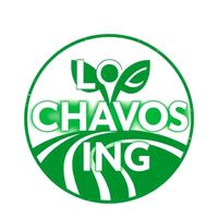 los.chavos.ing