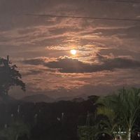arauz_921