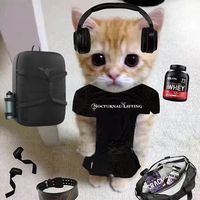 nocturnal.lifting