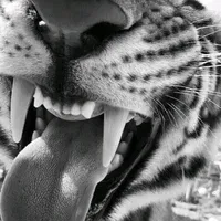 original sound - qnss.xlsm