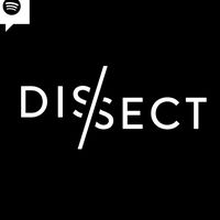 Biden by Bo Burnham from INSIDE DELUXE