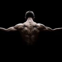 gym_relentlessly