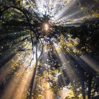 original sound - katterino_