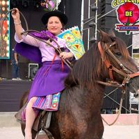 clavelinadevilcashuman