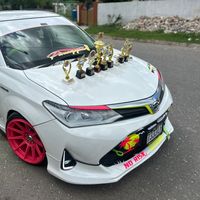 1_striker_
