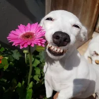 original sound - yoursound7