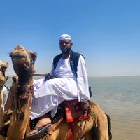 الصوت الأصلي