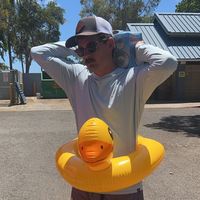 rooster_adams