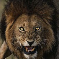 king_olope