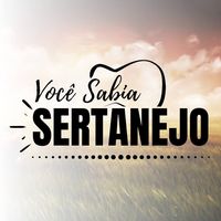 vocesabiasertanejo_