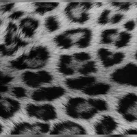 original sound - nevrendinn