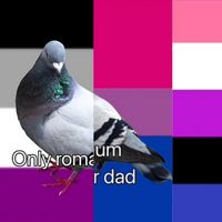 ma3_dcq