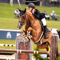 obsessedwithchestnuts