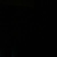 cojocaru_010