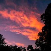 original sound - ariiana.23