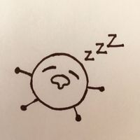 原聲 - 🌰