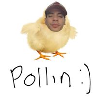 .nataxpollin
