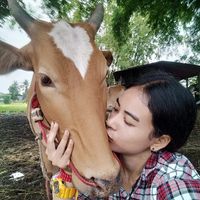 pop_kanok99
