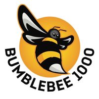 bumblebee1000run