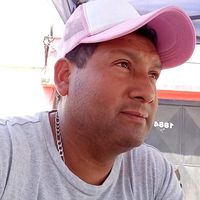 el_chichagmail.com