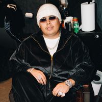 torostreetmob