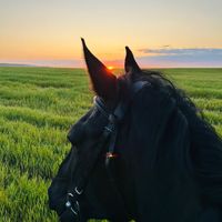 оригинальный звук