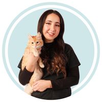 jaavi.pets