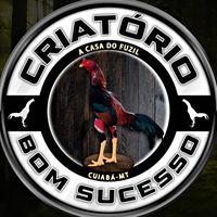 criatoriobomsucesso