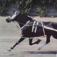 rosariocozzolino6
