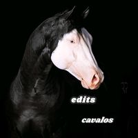 maisa_cardoso_vilela