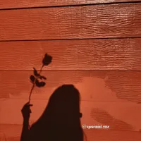 leave a light on