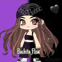 bachita_flow