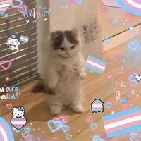 luk_.as.owo