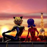 chatnoir_mlady_x