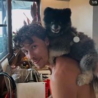 original sound - bcqlvtgvo