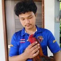 manpanithan_22345