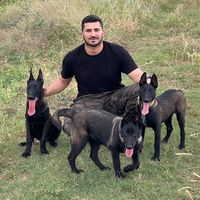 belcika.malinoispuppy