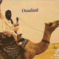 mhtabdel37