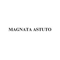 magnata.astuto