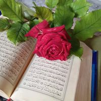 ayse_44448