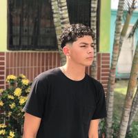 alanaponte7