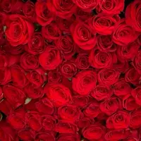 original sound - cancionesfxa21