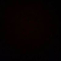 vxw_rodrigo