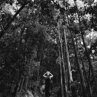 original sound - Endeavour