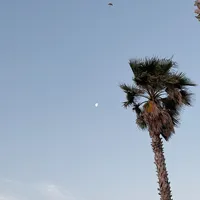 i can do it with a broken heart