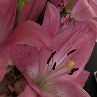 original sound - ่^่ 🍓☘️