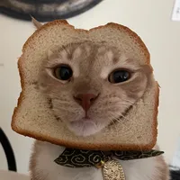 you want me....crickets