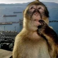 certifiedmr.rainbowfart