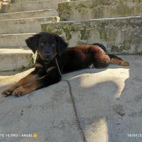 uservwrsori2v6
